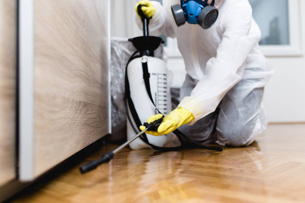 Best Best Pest Control Companies  in Chehalis, WA