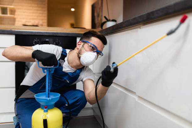 Best Wasp Removal Services  in Chehalis, WA