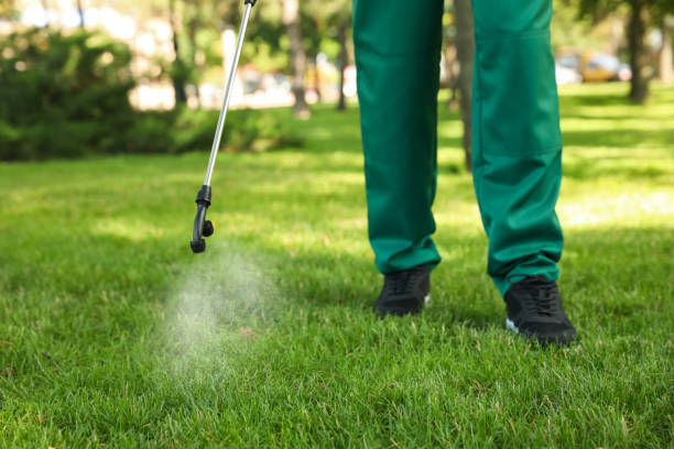 Best Pest Prevention Services  in Chehalis, WA