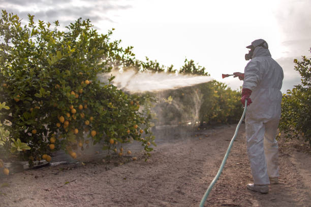Best Cockroach Control Services  in Chehalis, WA